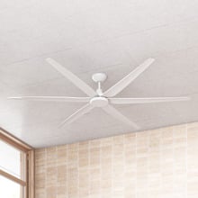 203cm Sam DC Ceiling Fan